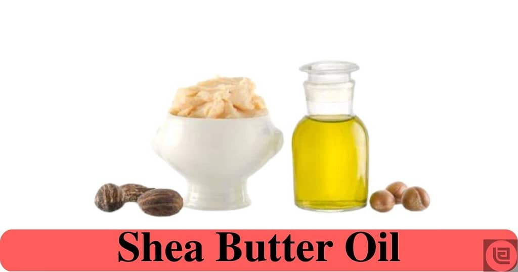 Shea Butter Oil, for Healthy and Glowing Skin ( Natural Oils )