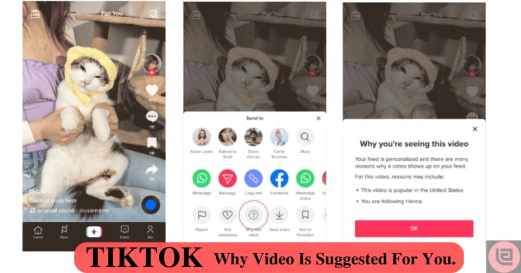 TIKTOK New Feature, Why A Video Is Suggested For You