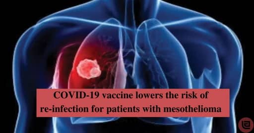 The COVID-19 vaccine is safe for mesothelioma patients